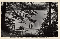 Through the Trees - Camp-in-the Woods Postcard