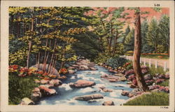 A Stream Meandering Beside a Road Postcard