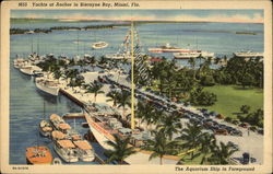 Yachts at Anchor in Biscayne Bay Postcard