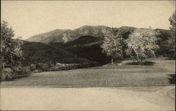 Stock #262053 Thumbnail