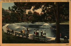 Frog Pond, Boston Common Postcard
