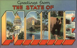 Grretings from the State with Various Views Postcard