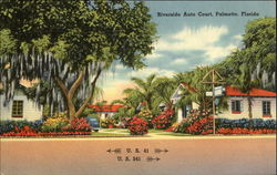 Riverside Auto Court Postcard