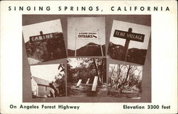 All Year Resort Postcard