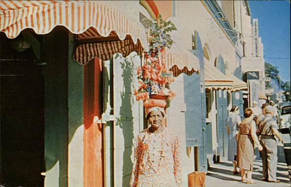 The Flower of the Day Native - Charlotte Amalie St. Thomas Virgin Islands