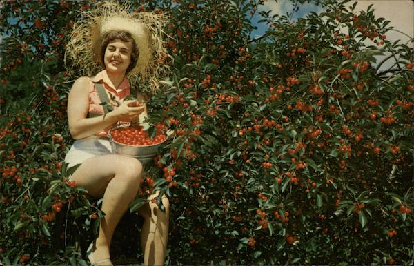 Girl in Cherry Tree Benton Harbor Michigan