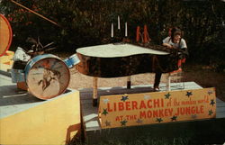 The Monkey Jungle: Liberachi of the Monkey World Postcard