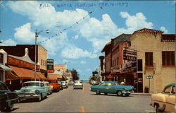 Brevard Avenue Business Section Postcard