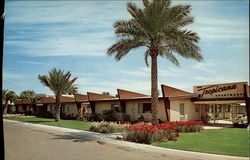 The Luxurous Tropicana Apartments Postcard