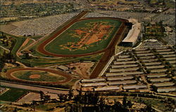 Santa Anita Park Arcadia, CA Postcard Postcard