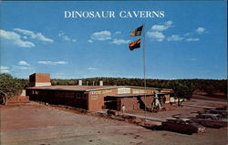 Dinosaur Caverns Seligman, AZ Postcard Postcard