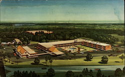 Horne Motor Lodge Postcard