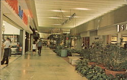 The Mall Postcard