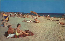 Craigville Beach Postcard