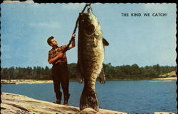 The Kind We Catch! Postcard