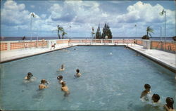Municipal Pool Sanford, FL Postcard Postcard