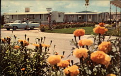 Holiday Hills Mobile Home Resort Postcard