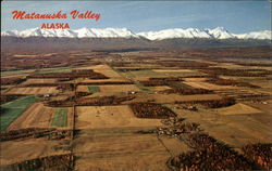 Matanuska Valley Palmer, AK Postcard Postcard