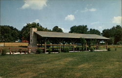 Boy Scout Shelter Postcard