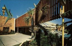 Motel Monte Carlo Postcard