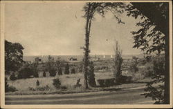 Old Village Inn Postcard