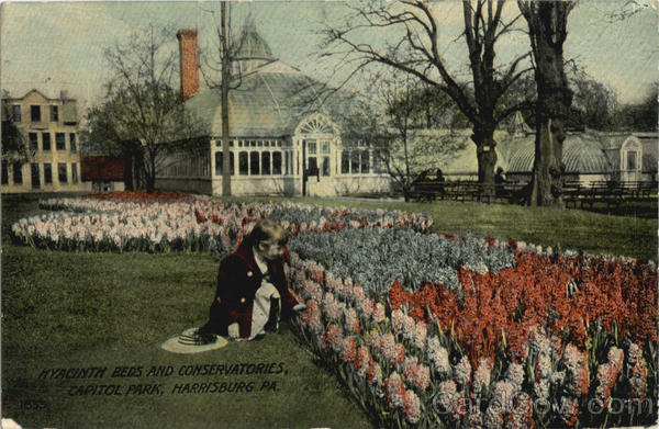Hyacinth Beds and Conservatories, Capitol Park Harrisburg Pennsylvania