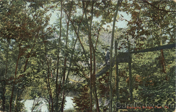 Swinging Bridge York Pennsylvania