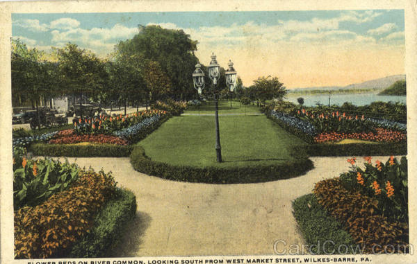 Flower Beds On River Common, West Market Street Wilkes-Barre Pennsylvania