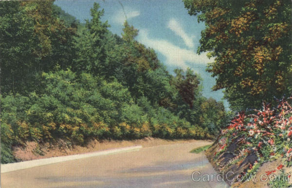Beautiful Roadway Leading to Skyline Drive, Mt. Penn Reading Pennsylvania