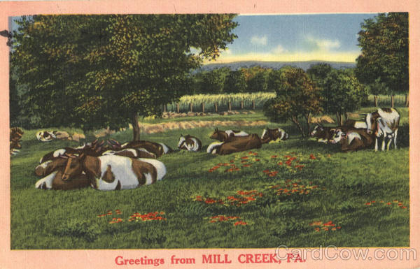 Greetings from Mill Creek Pennsylvania