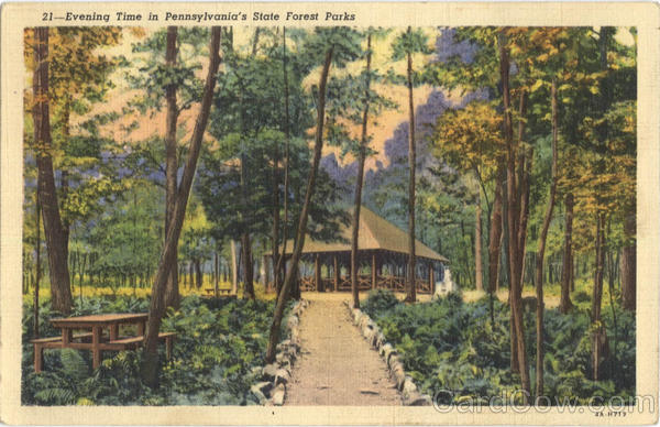 Evening Time in Pennsylvaina's State Forest Parks Scenic Pennsylvania