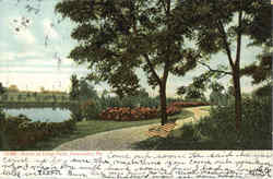 Scene in Long Park Postcard