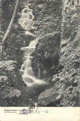 Wild Cat Falls Postcard