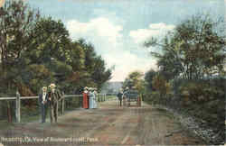 View of Boulevard on Mt. Penn Postcard