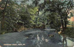 Codorous Creek Postcard