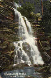 Chameleon Falls, Olen Postcard
