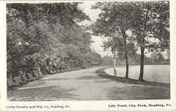 Lily Pond, City Park Reading, PA Postcard Postcard