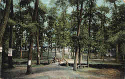 Brookside Park York, PA Postcard Postcard