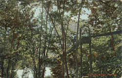 Swinging Bridge Postcard