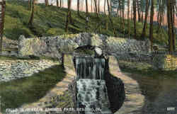 Falls in Mineral Springs Park Postcard