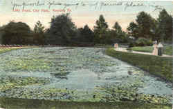 Lilly Pond, City Park Postcard