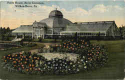 Palm House , River Common Postcard