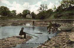 Mouth of Four Mile Creek, Grove House Park Postcard