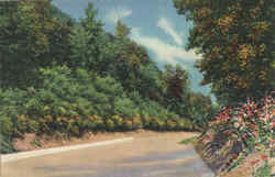 Beautiful Roadway Leading to Skyline Drive, Mt. Penn Postcard