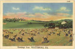 Greetings from Wattsburg Pennsylvania Postcard Postcard