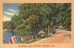 Greetings from Manns Choice Postcard