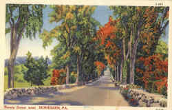 Beauty Scenes Postcard