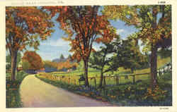Scene Near Indiana Postcard