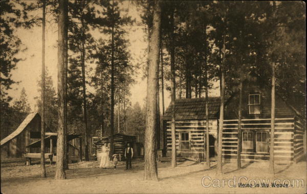 Home in the Woods Scenic Washington