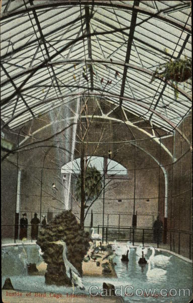 Inside of Bird Cage - Lincoln Park Zoo Chicago Illinois